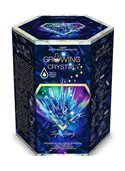 Набор для опытов GROWING CRYSTAL GRK-01