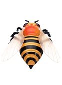 Насекомое на р/у 9923 (Пчела)