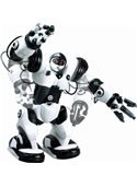 Робот TT313 Roboactor