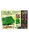 Безопасный обучающий набор для выращивания растений HFL-01 "Home Florarium"