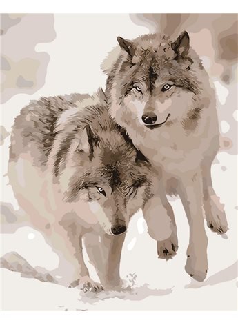 Картина по номерам "Снежные волки" 40*50 см AS0062 ArtStory