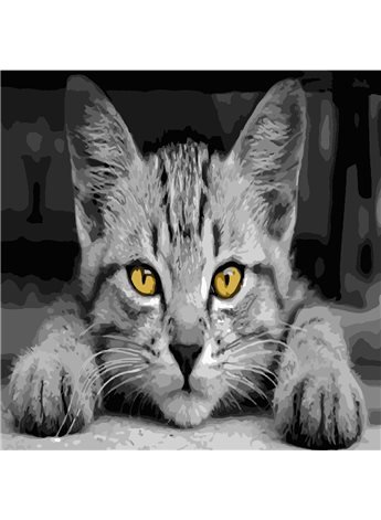 Картина по номерам "Серый кот" 40*40 см AS0502 ArtStory