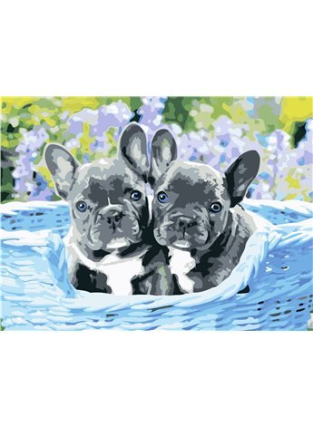 Картина по номерам "Бульдожки" 30*40 см AS0596 ArtStory
