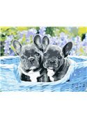 Картина по номерам "Бульдожки" 30*40 см AS0596 ArtStory