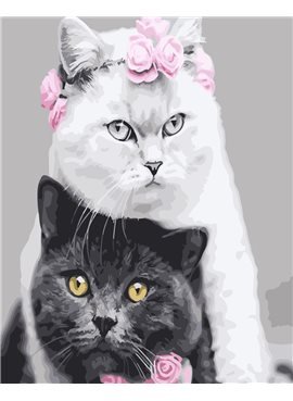 Картина по номерам "Белая кошка, черный кот" 40*50 см BK-GX26128 Rainbow Art