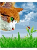 Картина по номерам "Котик и божья коровка" 40*50 см BK-GX27195 Никитошка