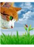 Картина по номерам "Котик и божья коровка" 40*50 см BK-GX27195 Никитошка