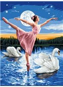 Картина по номерам "Лебединое озеро" 30*40 см VK008 Babylon