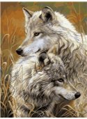 Картина по номерам "Степные волки" 30*40 см VK034 Babylon
