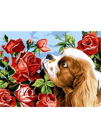 Картина по номерам "Кокер спаниэль и розы" 30*40 см VK106 Babylon
