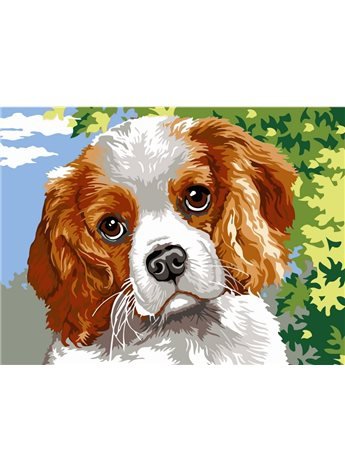 Картина по номерам "Кинг Чарльз спаниэль" 30*40 см VK110 Babylon