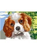 Картина по номерам "Кинг Чарльз спаниэль" 30*40 см VK110 Babylon