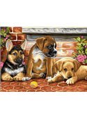 Картина по номерам "Три щенка и мячик" 30*40 см VK111 Babylon