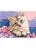 Картина по номерам "Милый котик" 30*40 см VK118 Babylon