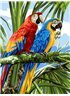 Картина по номерам "Яркие ара" 30*40 см VK126 Babylon