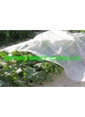 Агроволокно укрывное Presto (Престо) 30 г/м2 3,2-100