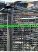 Медогонка на 4 рамки, неповоротные, нержавейка, редуктор. "Чарівниця"